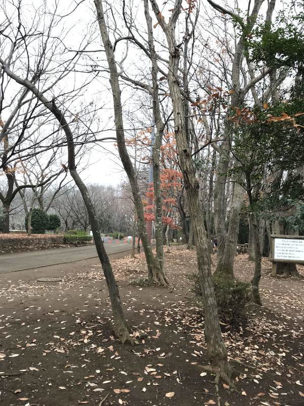 f:id:Breakoutdoor:20181223140756j:plain f:id:Breakoutdoor:20181223140756j:plain