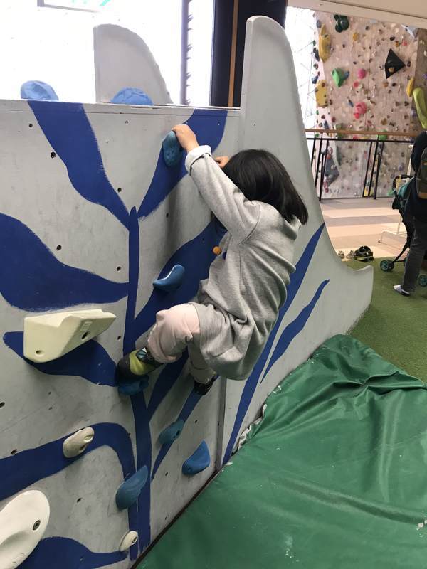 f:id:Breakoutdoor:20190101203111j:plain f:id:Breakoutdoor:20190101203111j:plain