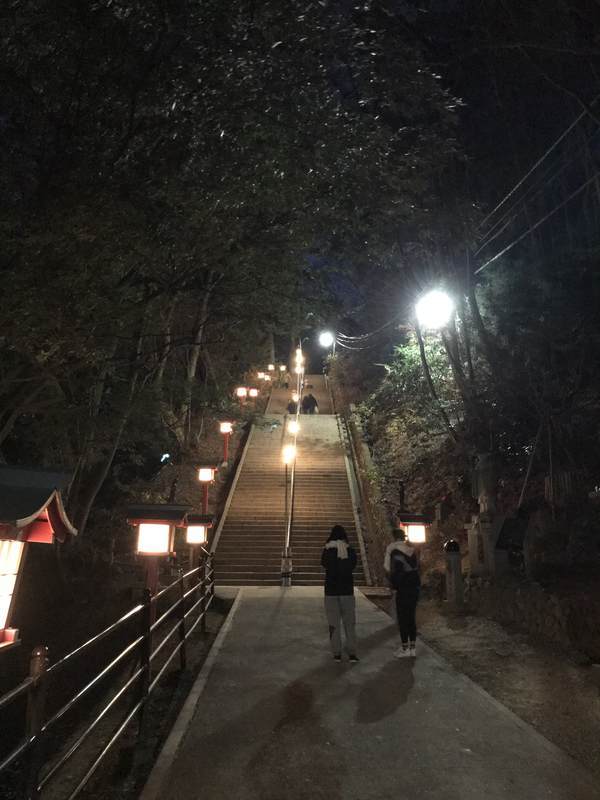 f:id:Breakoutdoor:20190103174442j:plain f:id:Breakoutdoor:20190103174442j:plain
