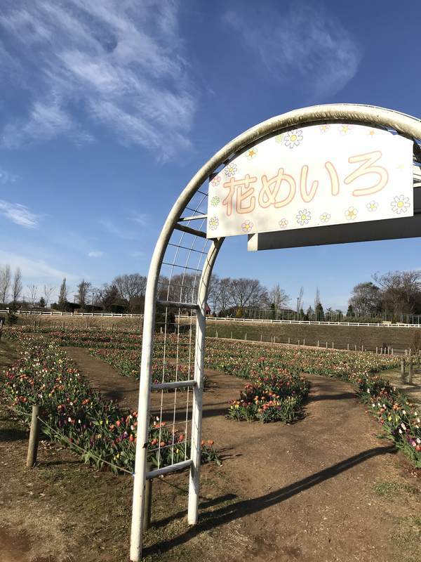 f:id:Breakoutdoor:20190106141312j:plain f:id:Breakoutdoor:20190106141312j:plain