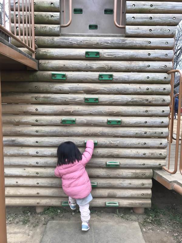 f:id:Breakoutdoor:20190112212712j:plain f:id:Breakoutdoor:20190112212712j:plain