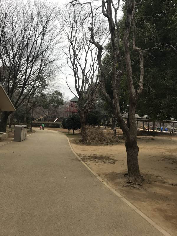 f:id:Breakoutdoor:20190112212743j:plain f:id:Breakoutdoor:20190112212743j:plain
