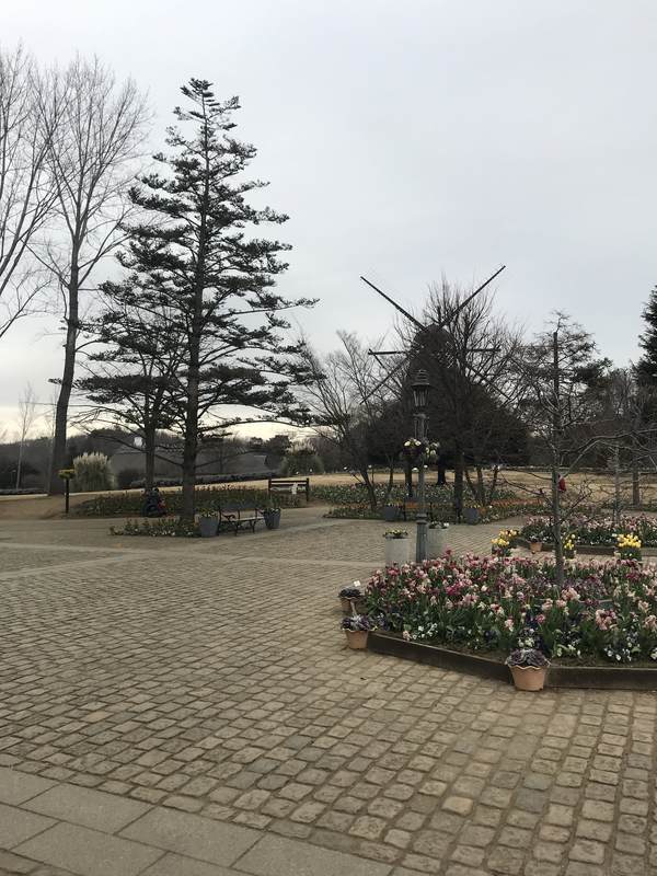 f:id:Breakoutdoor:20190112213020j:plain f:id:Breakoutdoor:20190112213020j:plain