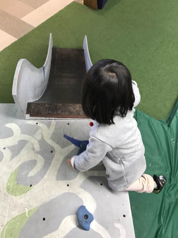 f:id:Breakoutdoor:20190114220157j:plain f:id:Breakoutdoor:20190114220157j:plain