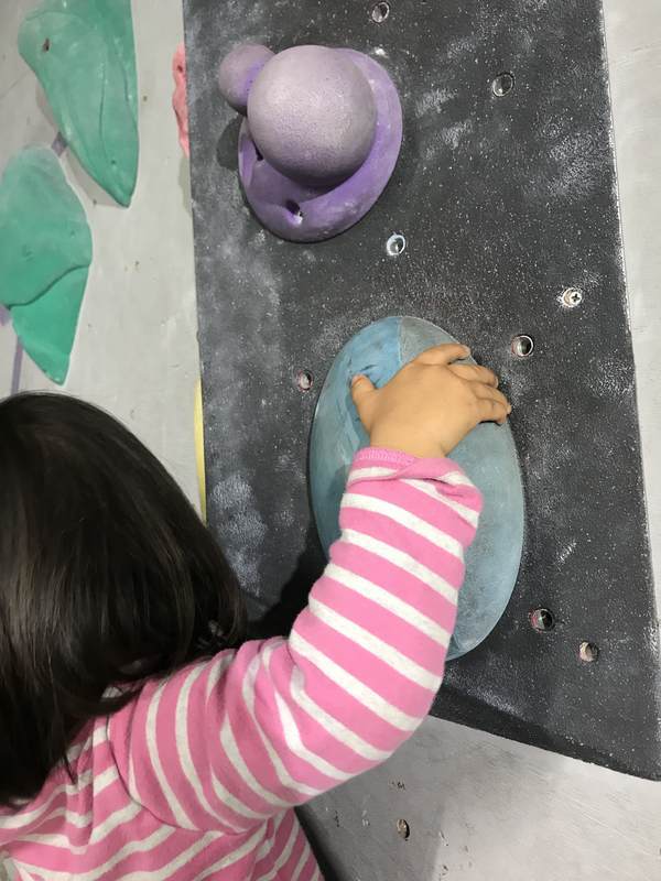 f:id:Breakoutdoor:20190114220752j:plain f:id:Breakoutdoor:20190114220752j:plain