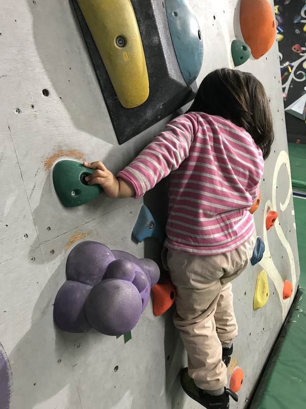 f:id:Breakoutdoor:20190114220819j:plain f:id:Breakoutdoor:20190114220819j:plain