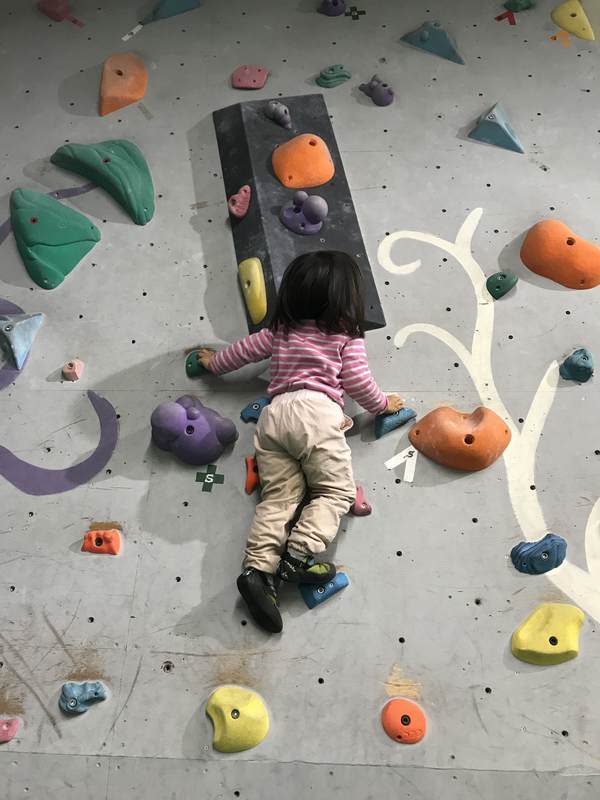 f:id:Breakoutdoor:20190114220829j:plain f:id:Breakoutdoor:20190114220829j:plain