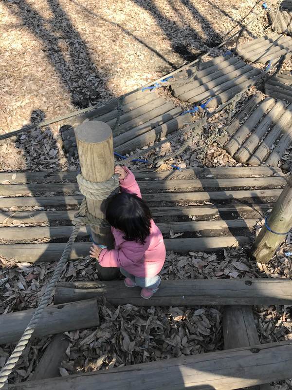 f:id:Breakoutdoor:20190122111208j:plain f:id:Breakoutdoor:20190122111208j:plain