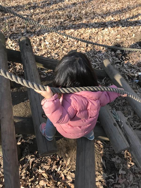 f:id:Breakoutdoor:20190122112309j:plain f:id:Breakoutdoor:20190122112309j:plain