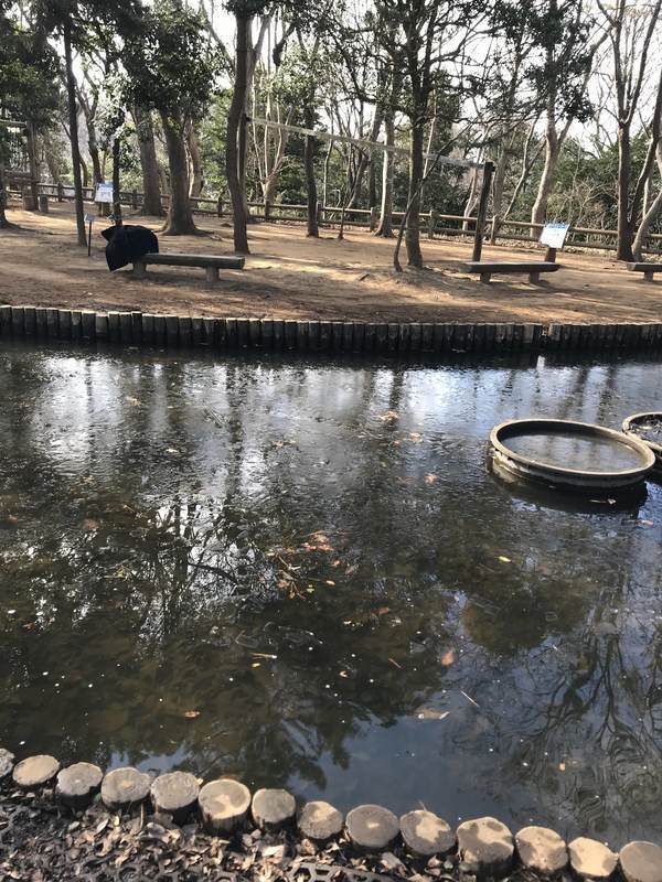 f:id:Breakoutdoor:20190122112806j:plain f:id:Breakoutdoor:20190122112806j:plain