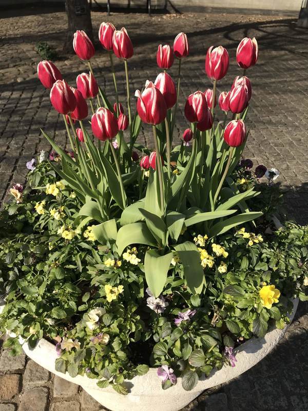 f:id:Breakoutdoor:20190122112831j:plain f:id:Breakoutdoor:20190122112831j:plain