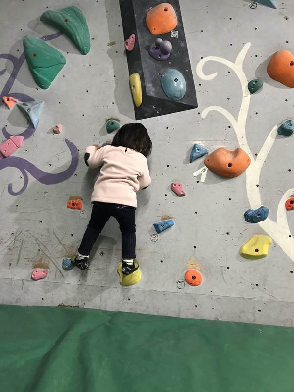 f:id:Breakoutdoor:20190127141810j:plain f:id:Breakoutdoor:20190127141810j:plain