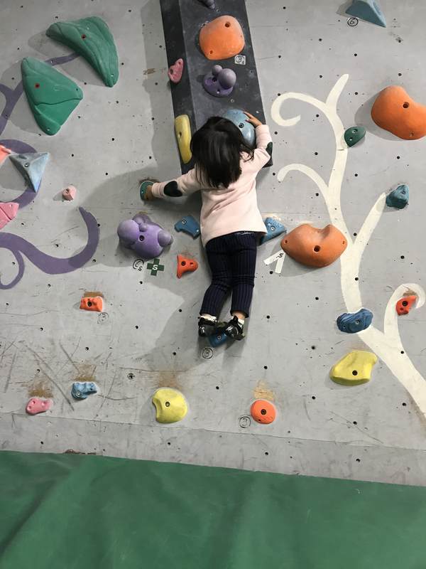 f:id:Breakoutdoor:20190127142014j:plain f:id:Breakoutdoor:20190127142014j:plain