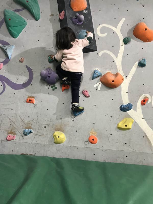 f:id:Breakoutdoor:20190127142259j:plain f:id:Breakoutdoor:20190127142259j:plain