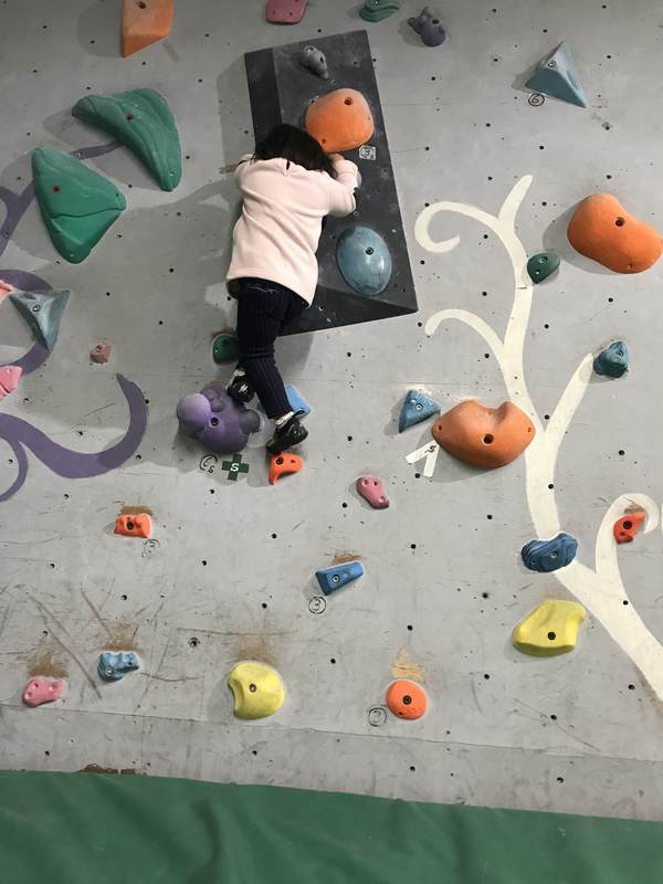 f:id:Breakoutdoor:20190127142310j:plain f:id:Breakoutdoor:20190127142310j:plain