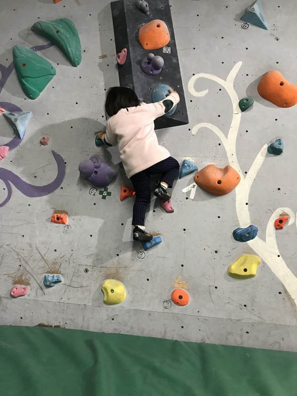 f:id:Breakoutdoor:20190127142342j:plain f:id:Breakoutdoor:20190127142342j:plain