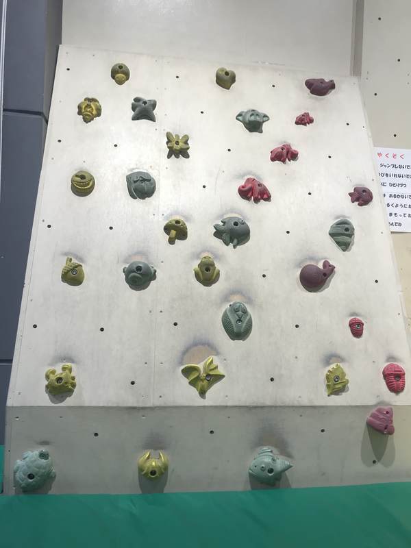 f:id:Breakoutdoor:20190210211625j:plain f:id:Breakoutdoor:20190210211625j:plain