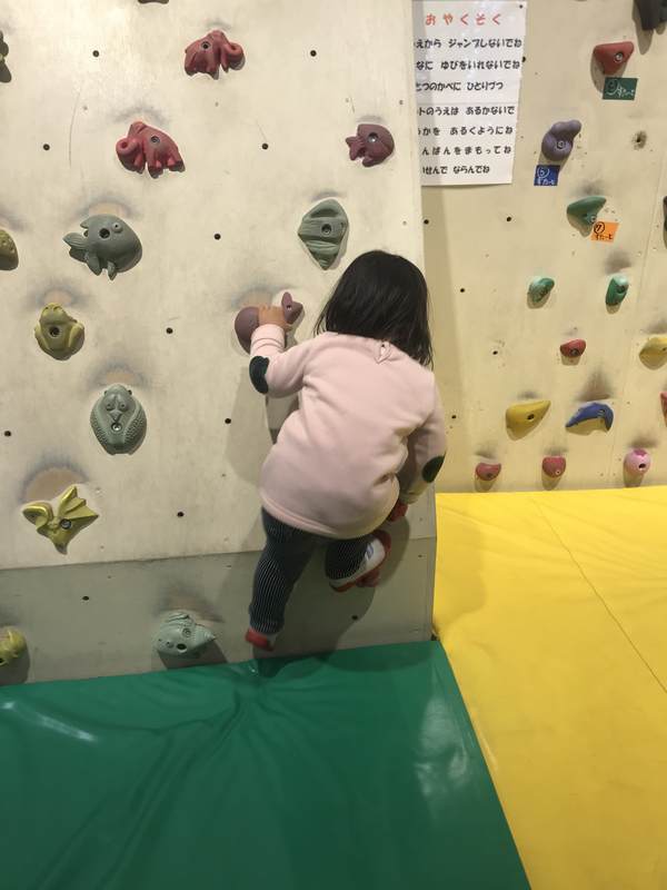 f:id:Breakoutdoor:20190210212018j:plain f:id:Breakoutdoor:20190210212018j:plain