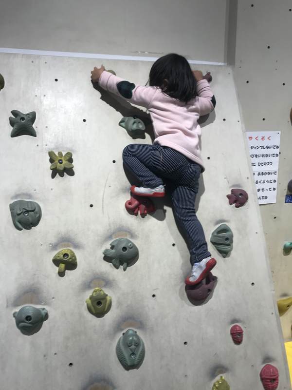f:id:Breakoutdoor:20190210212123j:plain f:id:Breakoutdoor:20190210212123j:plain