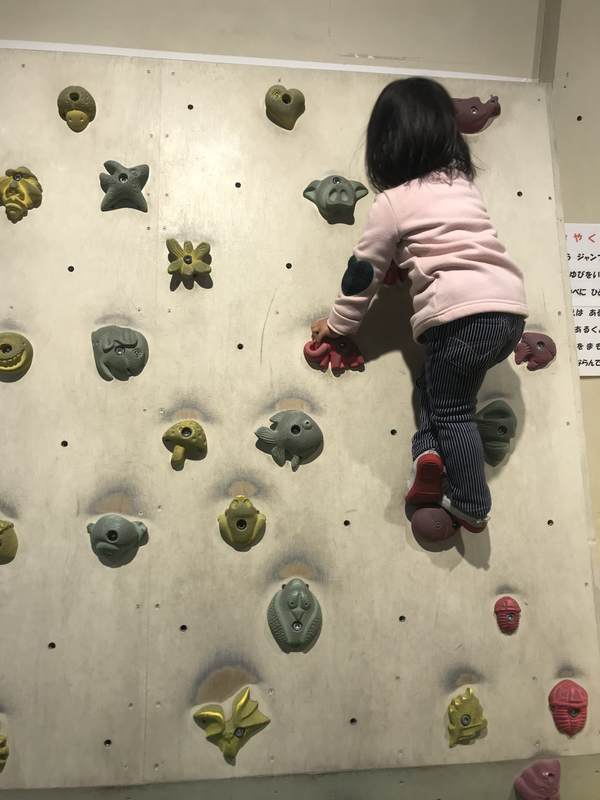 f:id:Breakoutdoor:20190210212134j:plain f:id:Breakoutdoor:20190210212134j:plain