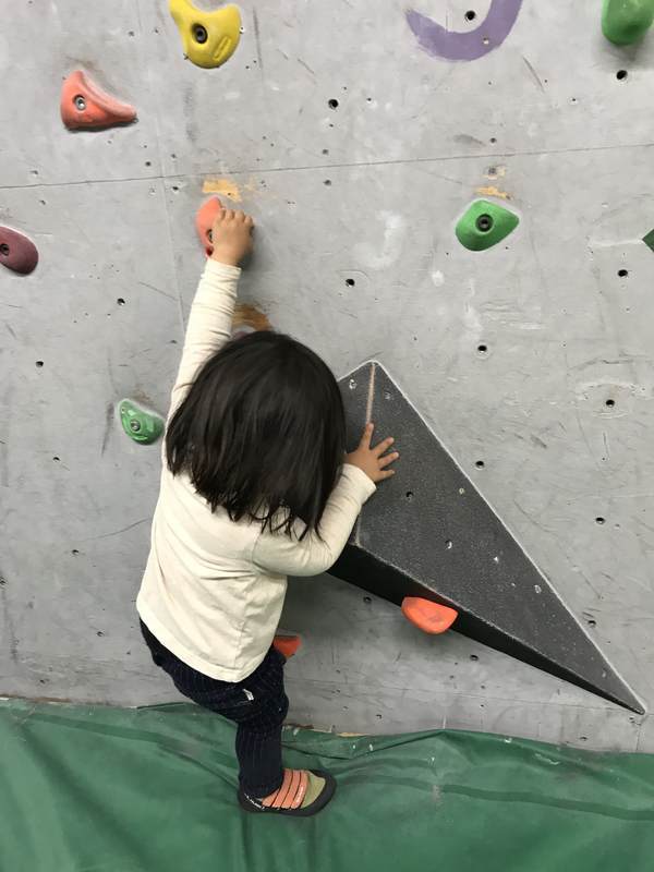 f:id:Breakoutdoor:20190225231106j:plain f:id:Breakoutdoor:20190225231106j:plain