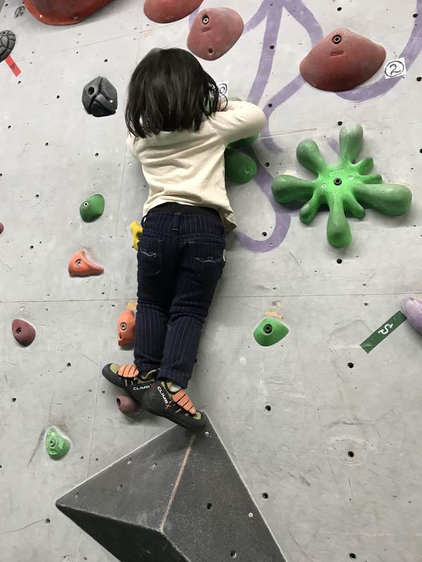 f:id:Breakoutdoor:20190225231403j:plain f:id:Breakoutdoor:20190225231403j:plain