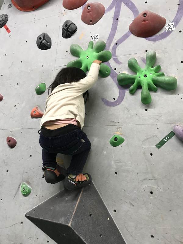 f:id:Breakoutdoor:20190225231502j:plain f:id:Breakoutdoor:20190225231502j:plain