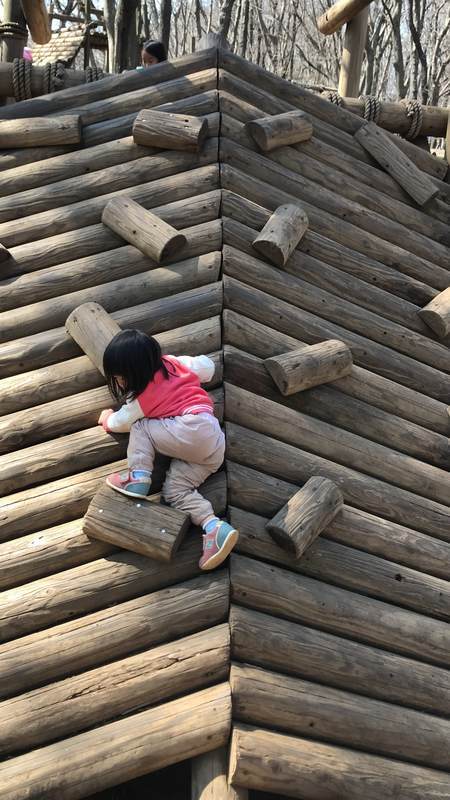 f:id:Breakoutdoor:20190315163812j:plain f:id:Breakoutdoor:20190315163812j:plain