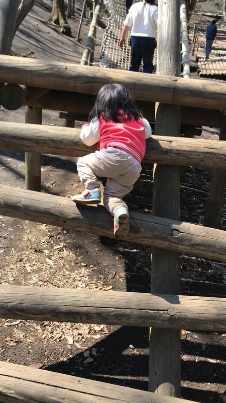 船橋アンデルセン公園　アスレチック