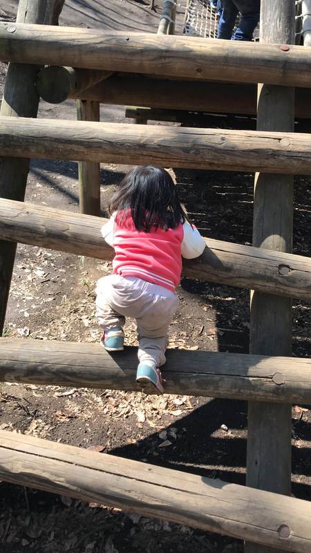 船橋アンデルセン公園　アスレチック