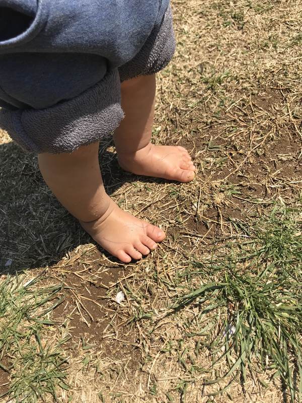 f:id:Breakoutdoor:20190417221639j:plain f:id:Breakoutdoor:20190417221639j:plain