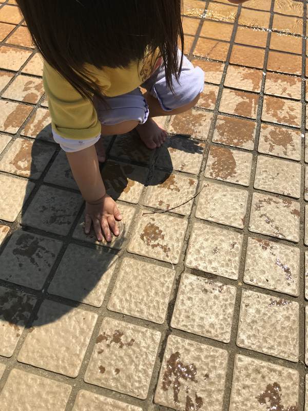 f:id:Breakoutdoor:20190417222313j:plain f:id:Breakoutdoor:20190417222313j:plain
