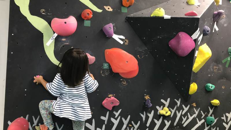 f:id:Breakoutdoor:20190706212703j:plain f:id:Breakoutdoor:20190706212703j:plain