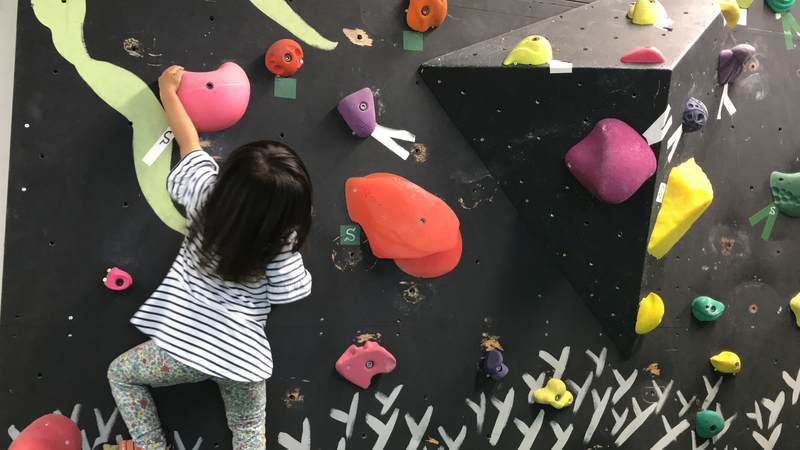 f:id:Breakoutdoor:20190706212717j:plain f:id:Breakoutdoor:20190706212717j:plain