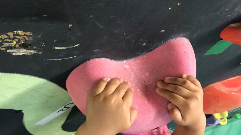 f:id:Breakoutdoor:20190706212739j:plain f:id:Breakoutdoor:20190706212739j:plain