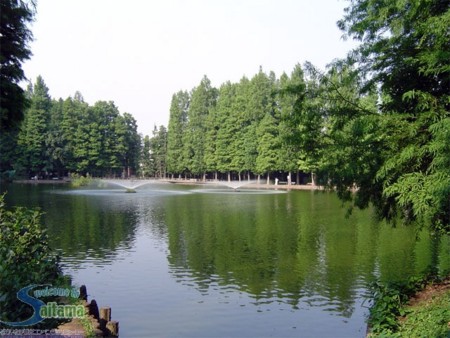 f:id:Bridgeman:20090907020854j:image