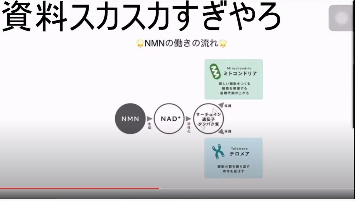 f:id:BringerOfPain10:20210905023420j:plain