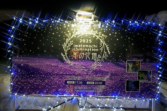 20250215114629