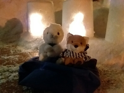 f:id:BuchiBuchi:20190210225834j:plain f:id:BuchiBuchi:20190210225834j:plain