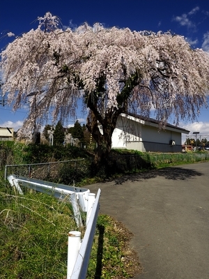 f:id:BuchiBuchi:20190421070812j:plain f:id:BuchiBuchi:20190421070812j:plain