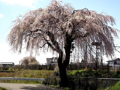 f:id:BuchiBuchi:20190421070815j:plain f:id:BuchiBuchi:20190421070815j:plain