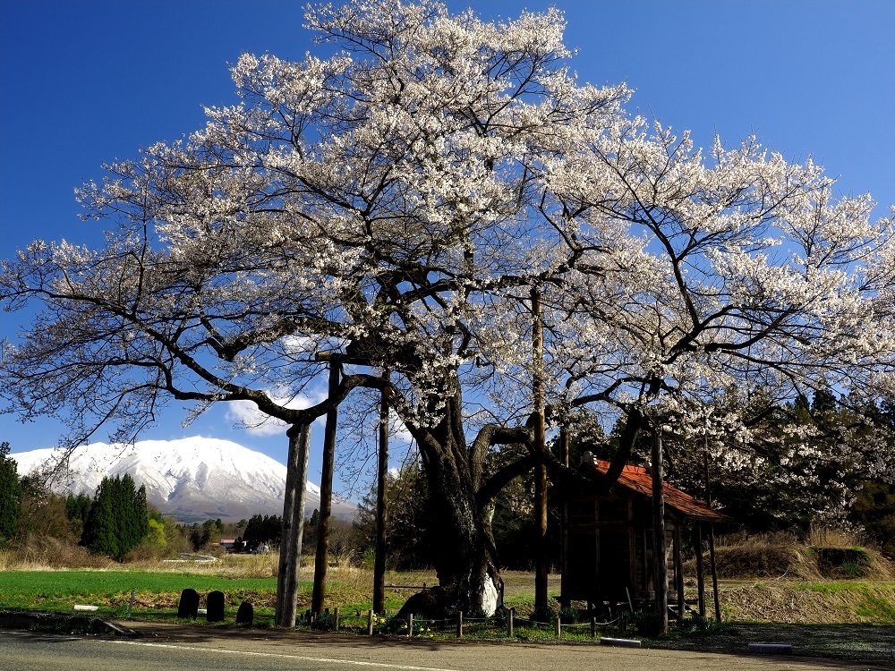f:id:BuchiBuchi:20190429003139j:plain f:id:BuchiBuchi:20190429003139j:plain