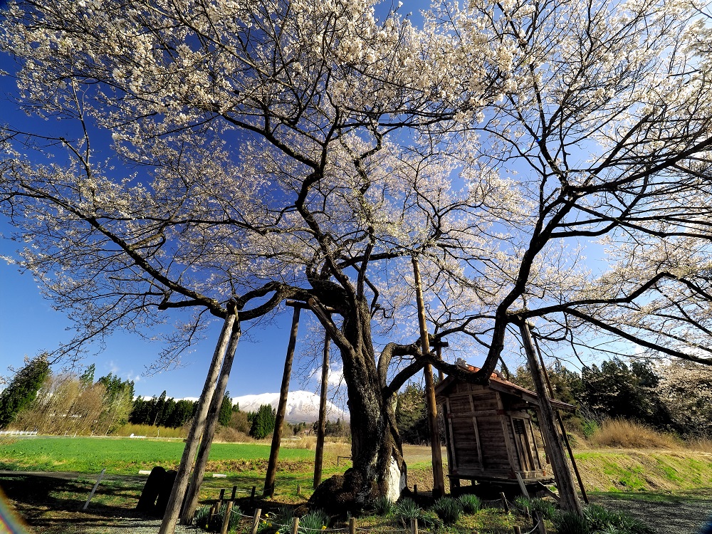 f:id:BuchiBuchi:20190429003250j:plain f:id:BuchiBuchi:20190429003250j:plain