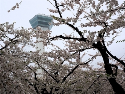 f:id:BuchiBuchi:20190506195655j:plain f:id:BuchiBuchi:20190506195655j:plain