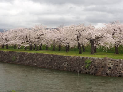 f:id:BuchiBuchi:20190506195701j:plain f:id:BuchiBuchi:20190506195701j:plain