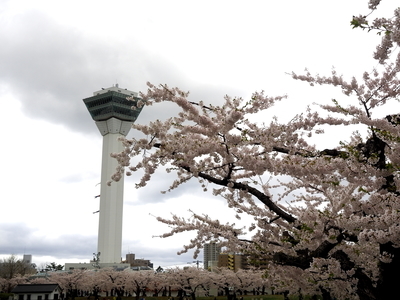 f:id:BuchiBuchi:20190506195719j:plain f:id:BuchiBuchi:20190506195719j:plain
