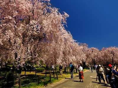 f:id:BuchiBuchi:20190506224716j:plain f:id:BuchiBuchi:20190506224716j:plain