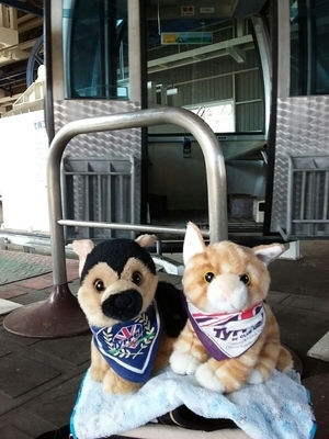 f:id:BuchiBuchi:20190521231023j:plain f:id:BuchiBuchi:20190521231023j:plain