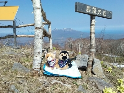 f:id:BuchiBuchi:20190521231027j:plain f:id:BuchiBuchi:20190521231027j:plain