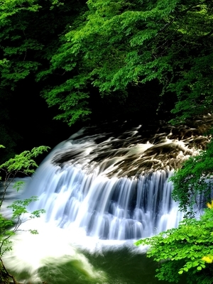 f:id:BuchiBuchi:20190720072408j:plain f:id:BuchiBuchi:20190720072408j:plain